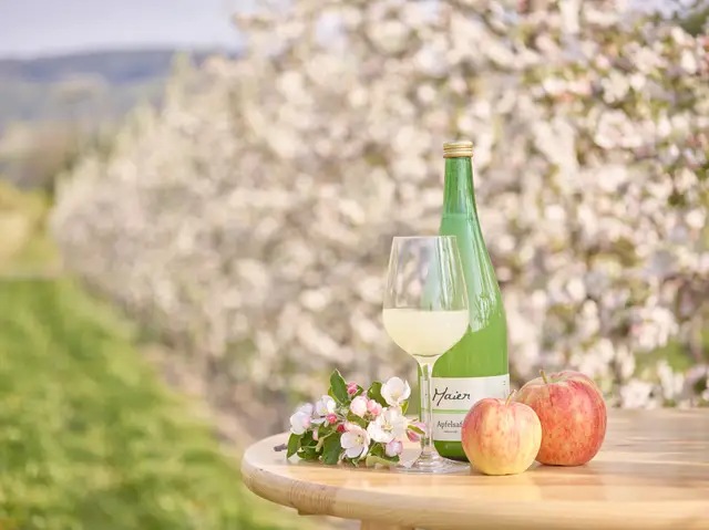 Naturtrüber Apfelsaft in Flasche und Glas vor blühenden Obstbäumen, Produktaufnahme im Obstgarten