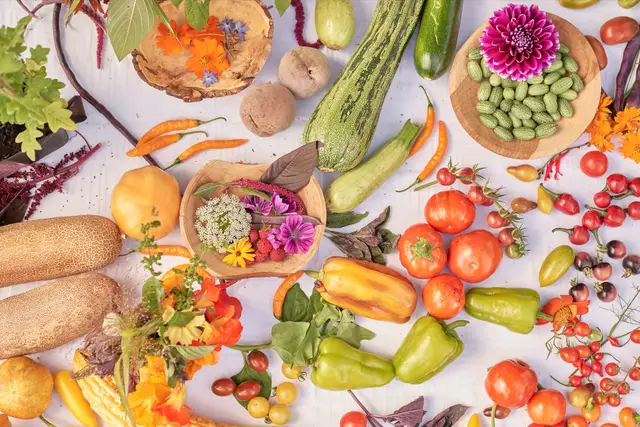 Buntes Stillleben aus Raritäten-Gemüse, Tomaten, Paprika und Essblüten, Foodfotografie von oben