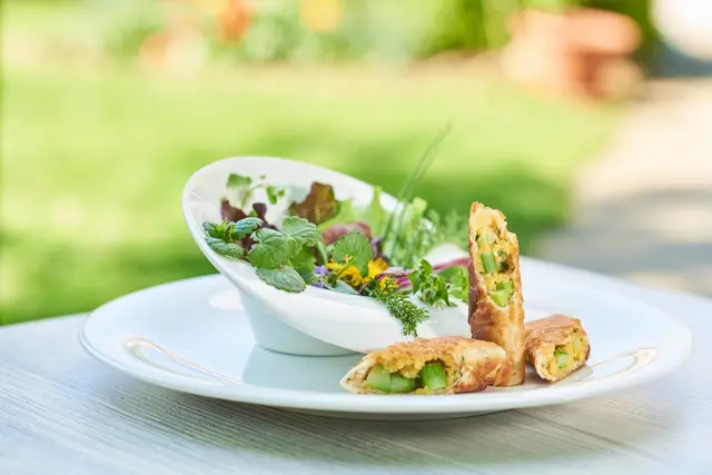 Knusprige Spargel-Frühlingsrollen mit Wildkräutersalat auf weißem Teller im Gastgarten, Foodfotografie